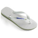 Havaianas Brasil Logo